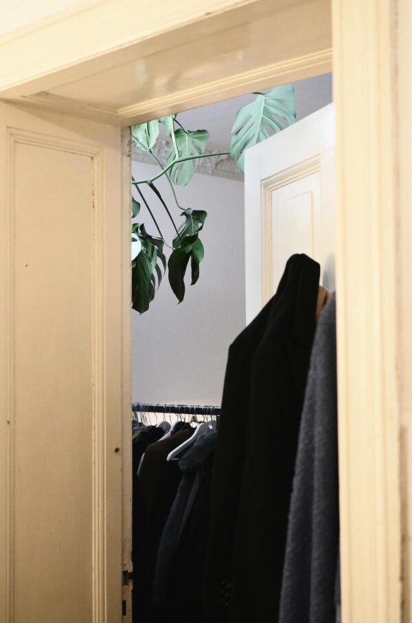 Wardrobe with many clothes on metal hangers and monstera with verdant fresh leaves